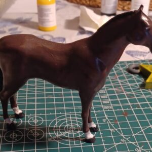 Cavallino